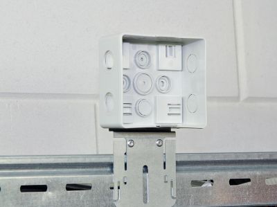 Mounting with a centrally fixed mounting plate